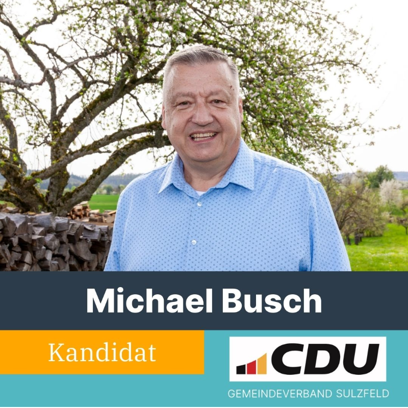  Michael Busch